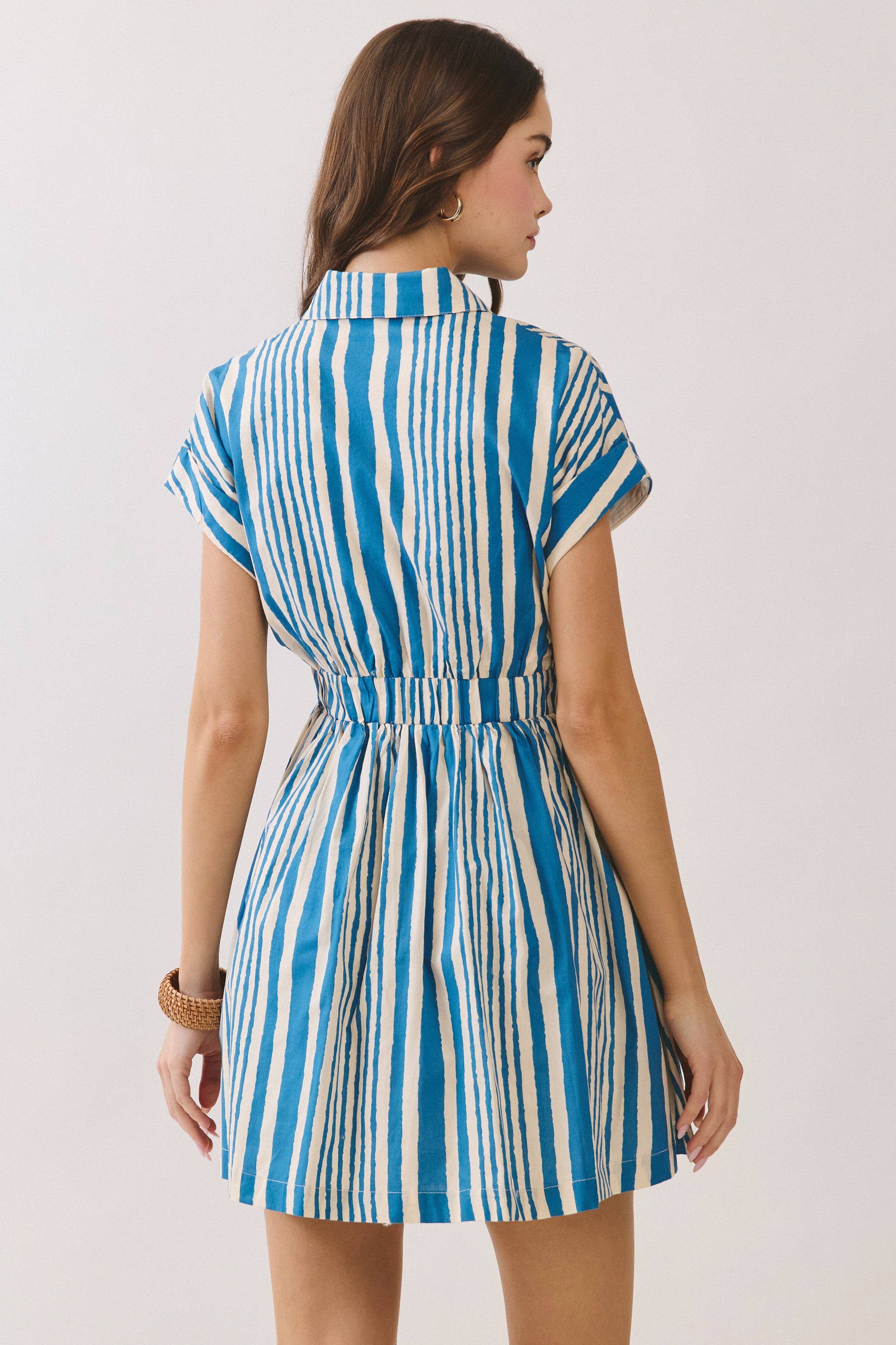 Hyde Park Mini Dress