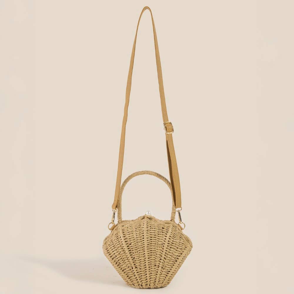 Straw Shell Braided Handle Bag