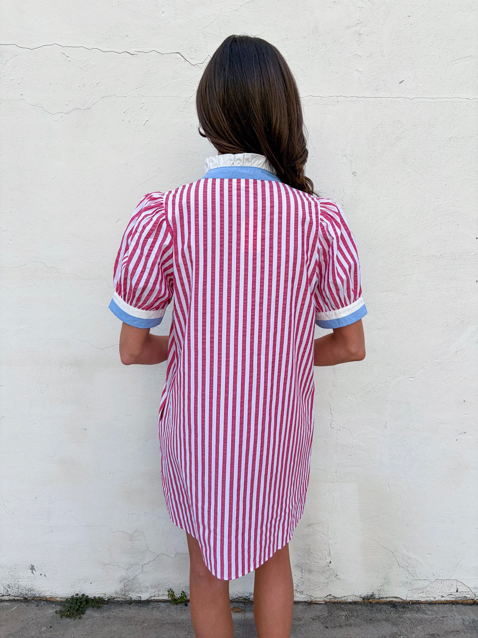 Classic Americana Mini Dress