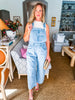 Campfire Cutie Denim Overalls