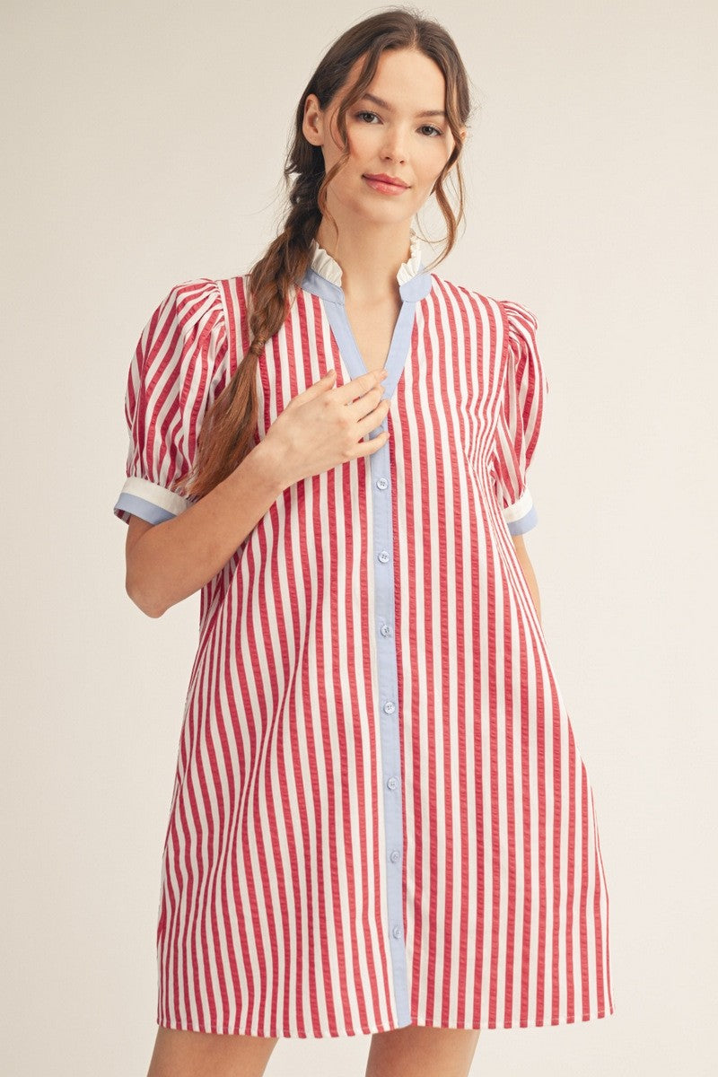 Classic Americana Mini Dress