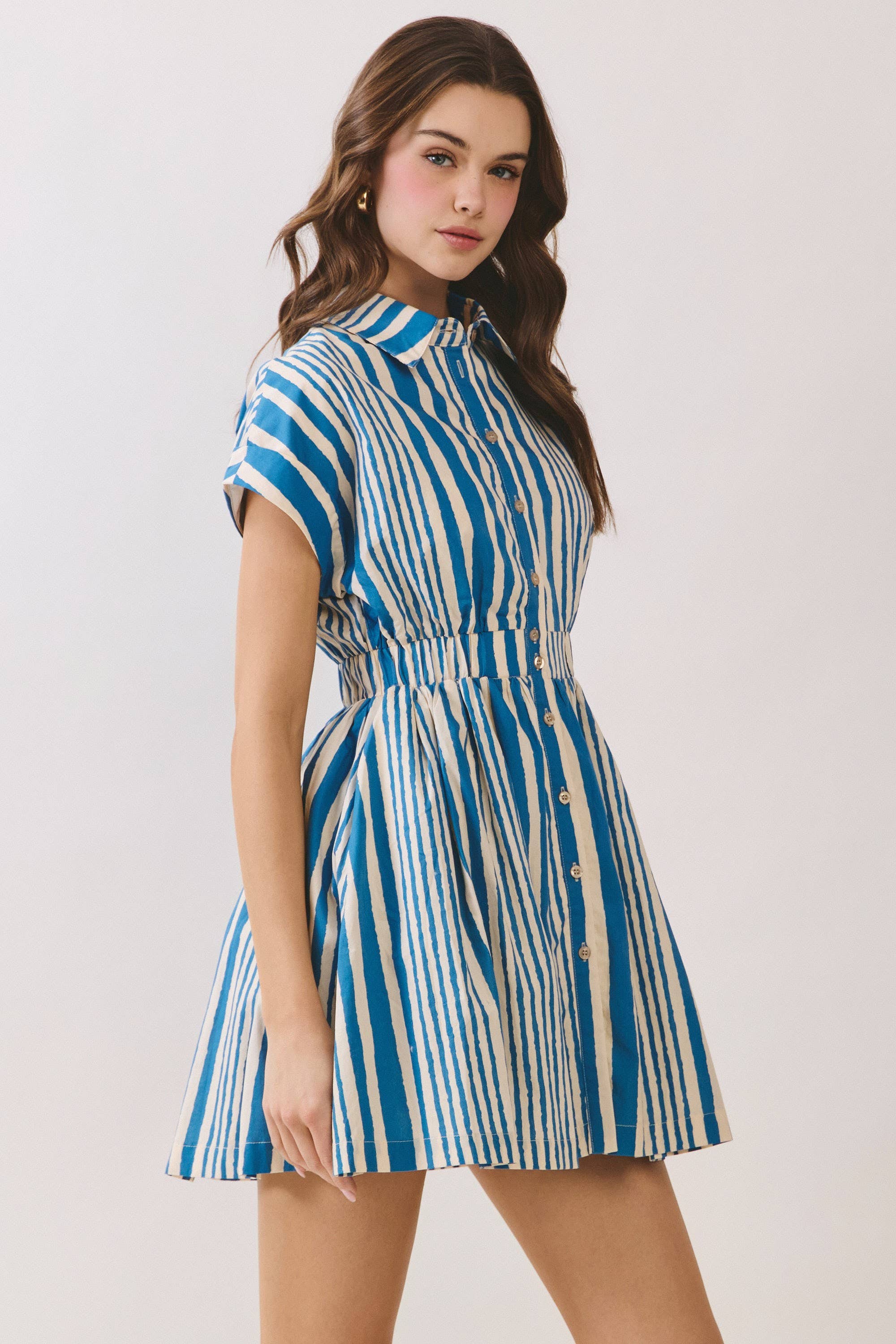 Hyde Park Mini Dress