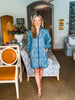 Southern Blue Bell Mini Dress