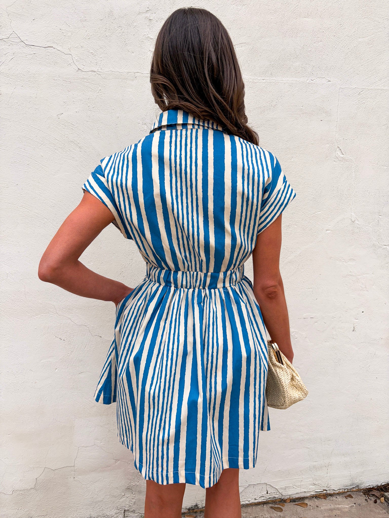 Hyde Park Mini Dress