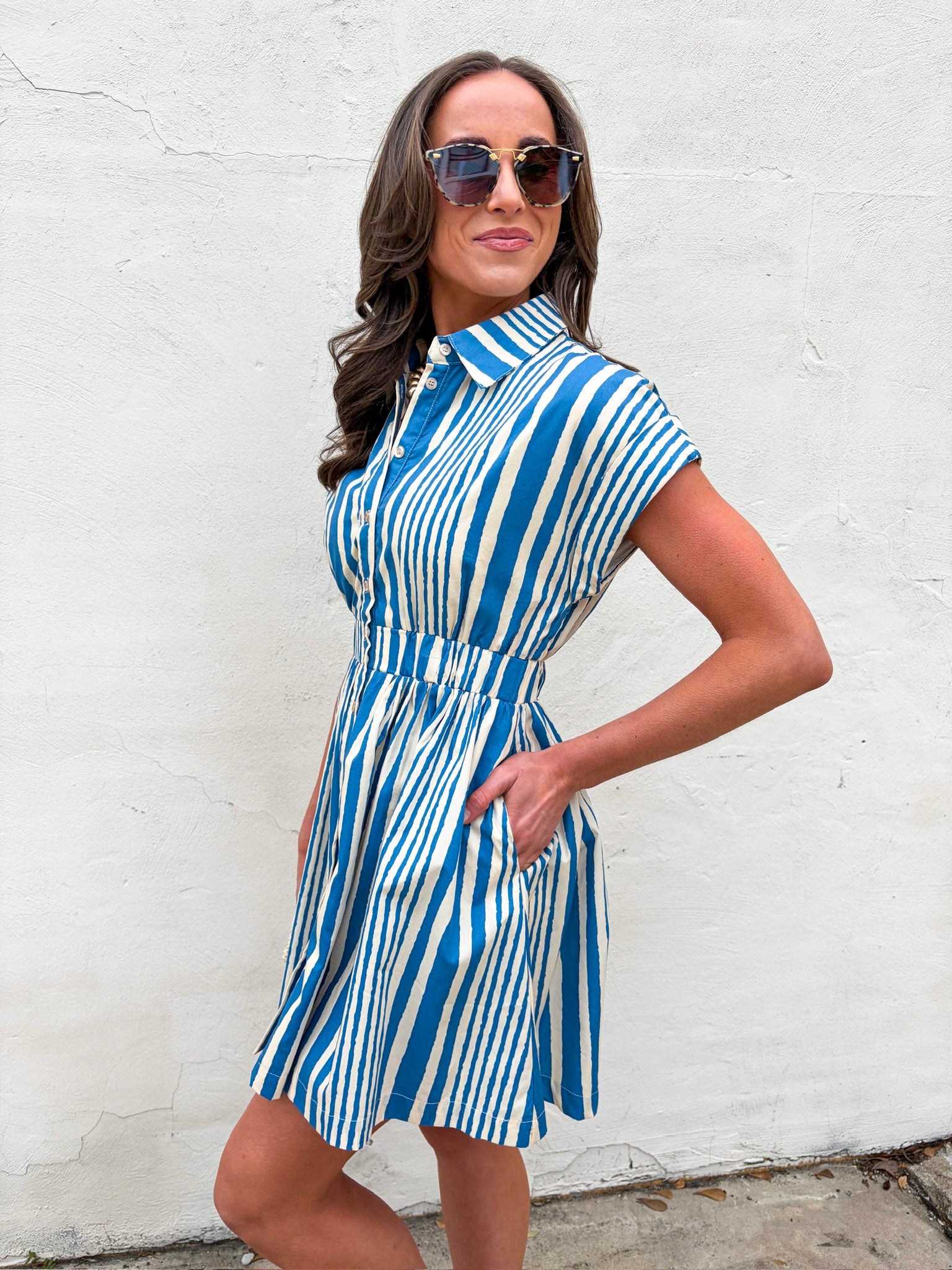 Hyde Park Mini Dress