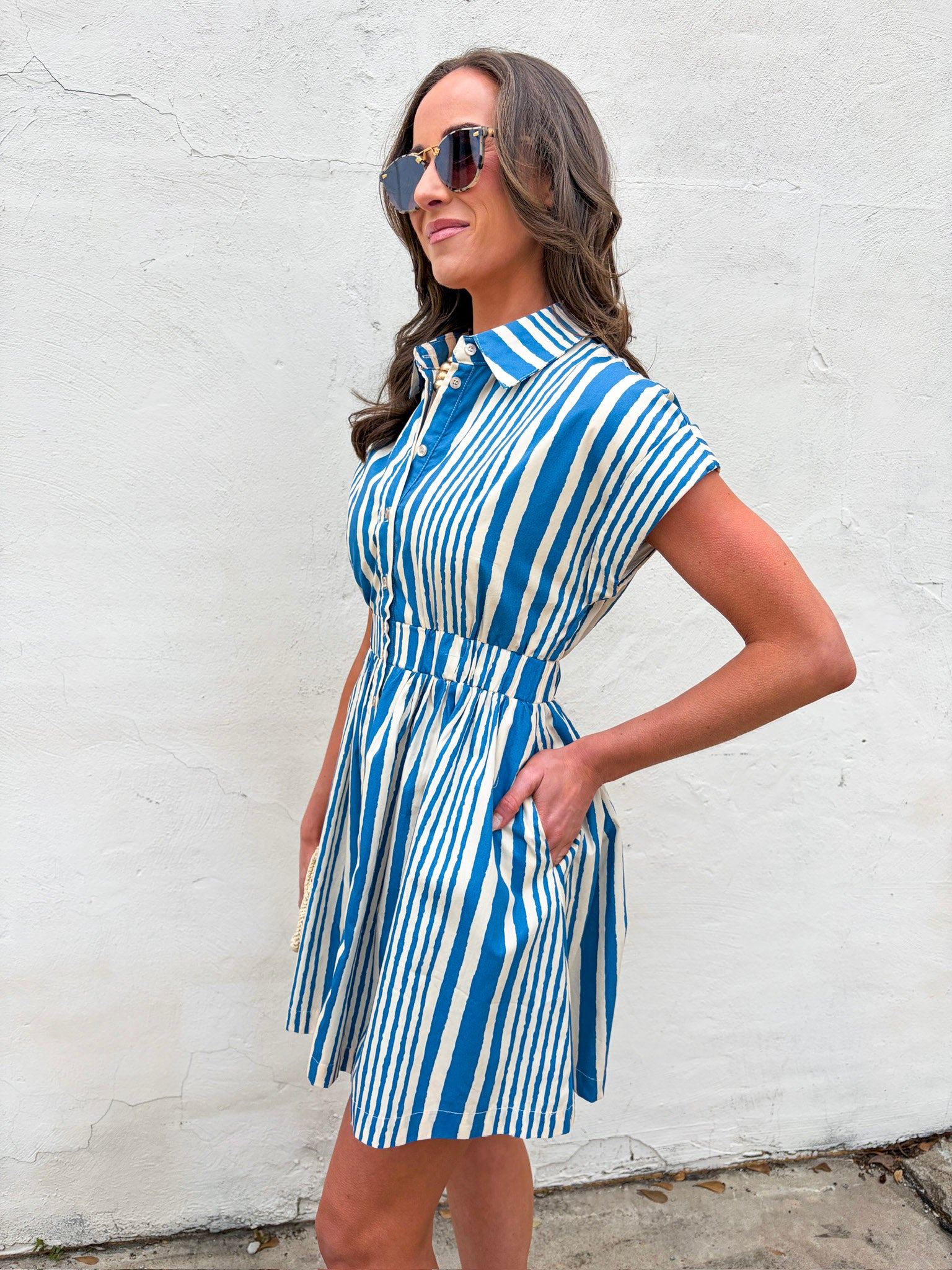 Hyde Park Mini Dress