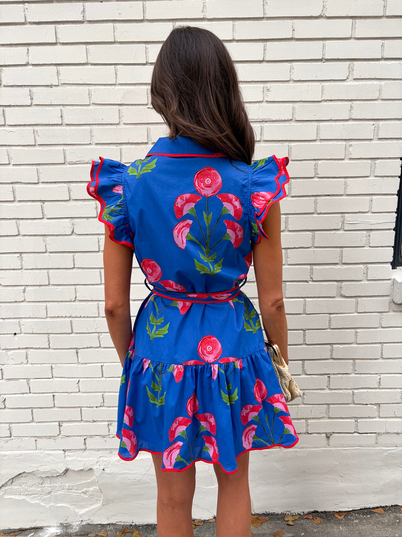 Picnic in the Park Mini Dress