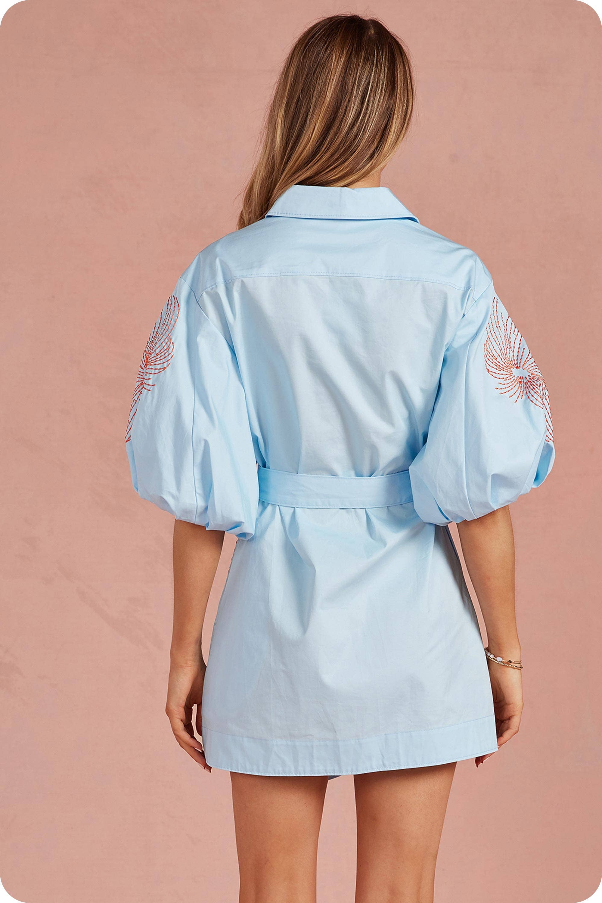 Sweet Flora Puff Sleeve Dress-Sky Blue
