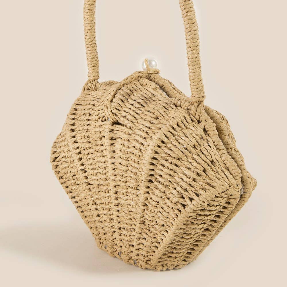 Straw Shell Braided Handle Bag