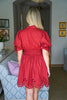 Petals And Pinot Eyelet Mini Dress-Brick