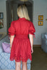 Petals And Pinot Eyelet Mini Dress-Brick