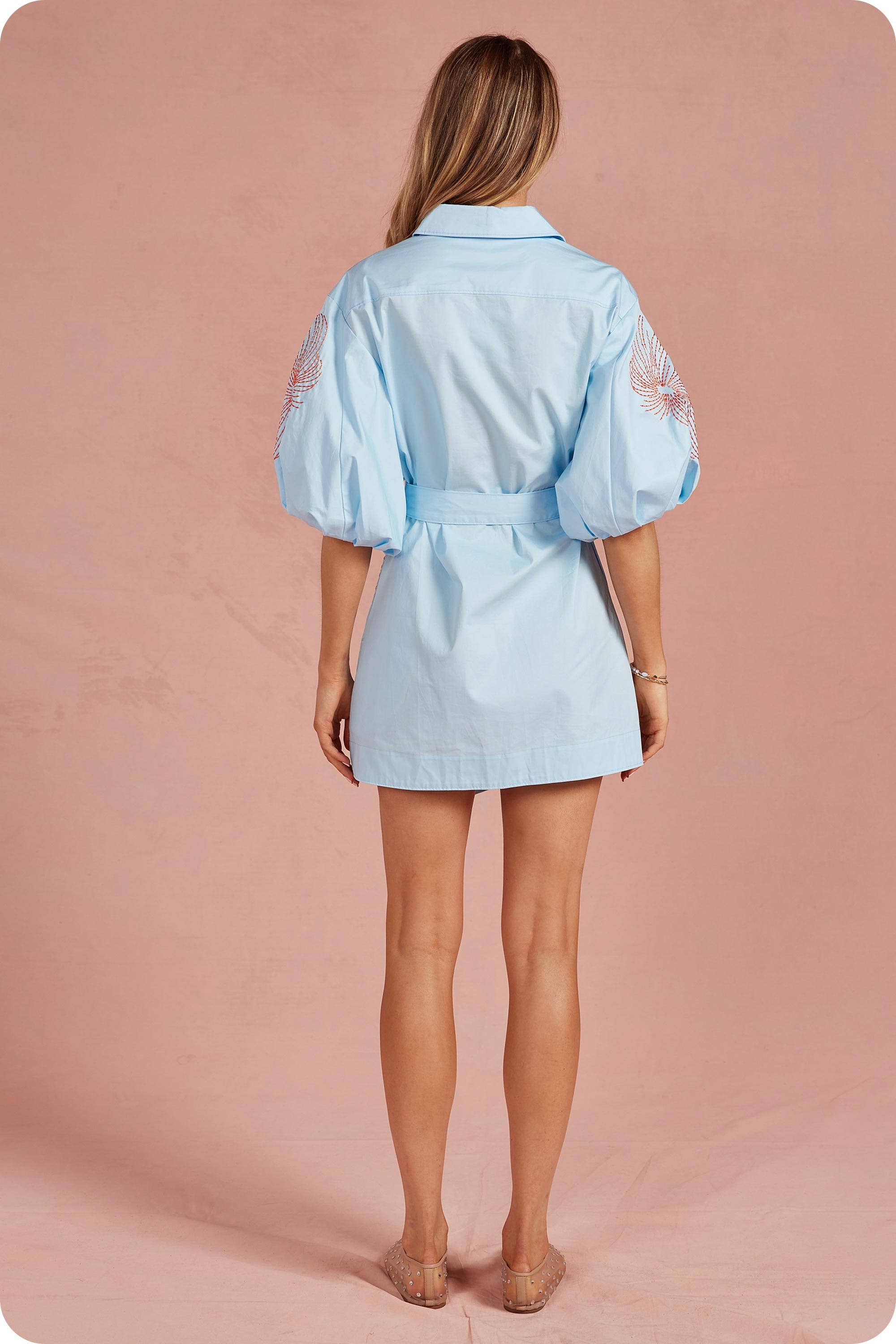 Sweet Flora Puff Sleeve Dress-Sky Blue