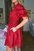 Petals And Pinot Eyelet Mini Dress-Brick