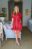 Petals And Pinot Eyelet Mini Dress-Brick
