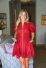 Petals And Pinot Eyelet Mini Dress-Brick