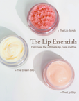 The Lip Essentials Discovery Kit