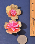 Tropicana Dream Earrings-Pink
