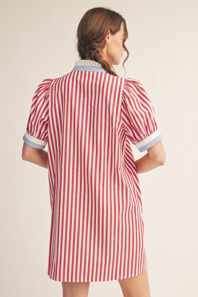 Classic Americana Mini Dress
