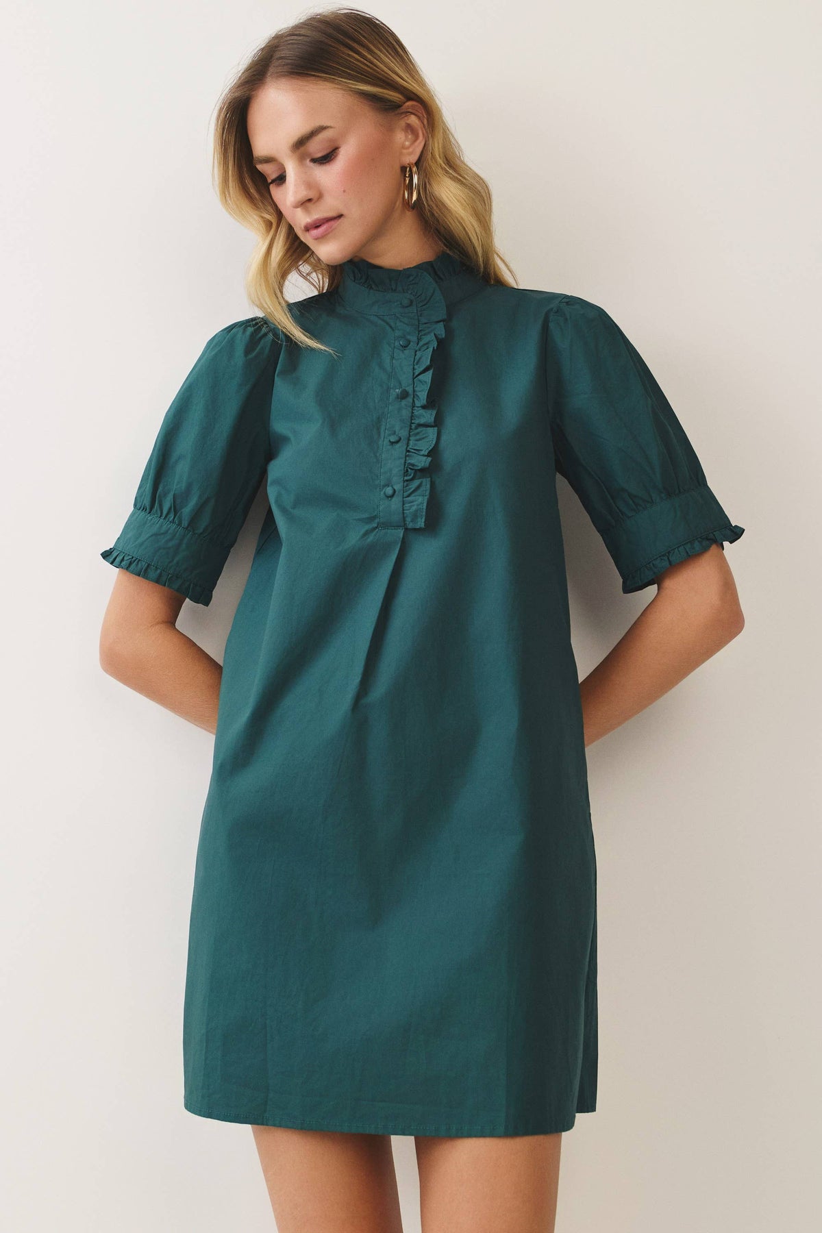 Beloved Puff Sleeve Mini Dress