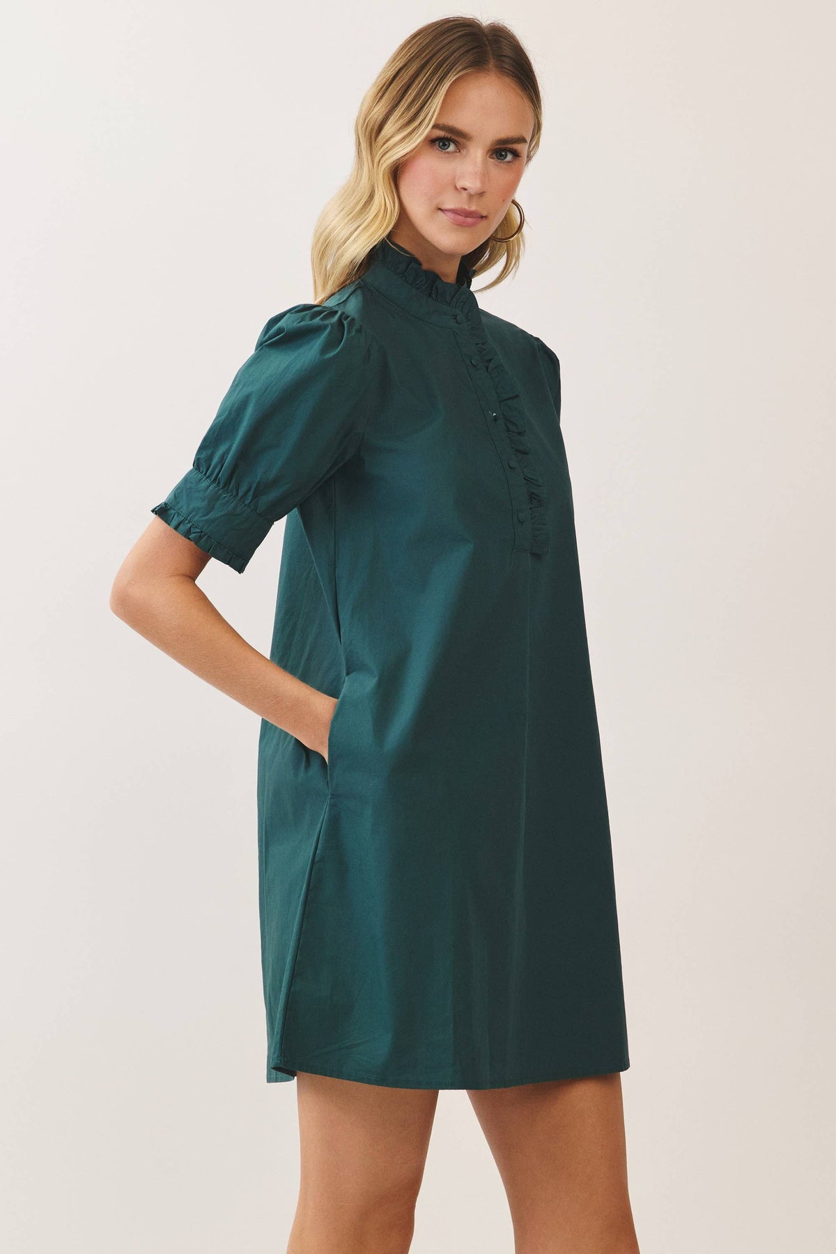 Beloved Puff Sleeve Mini Dress