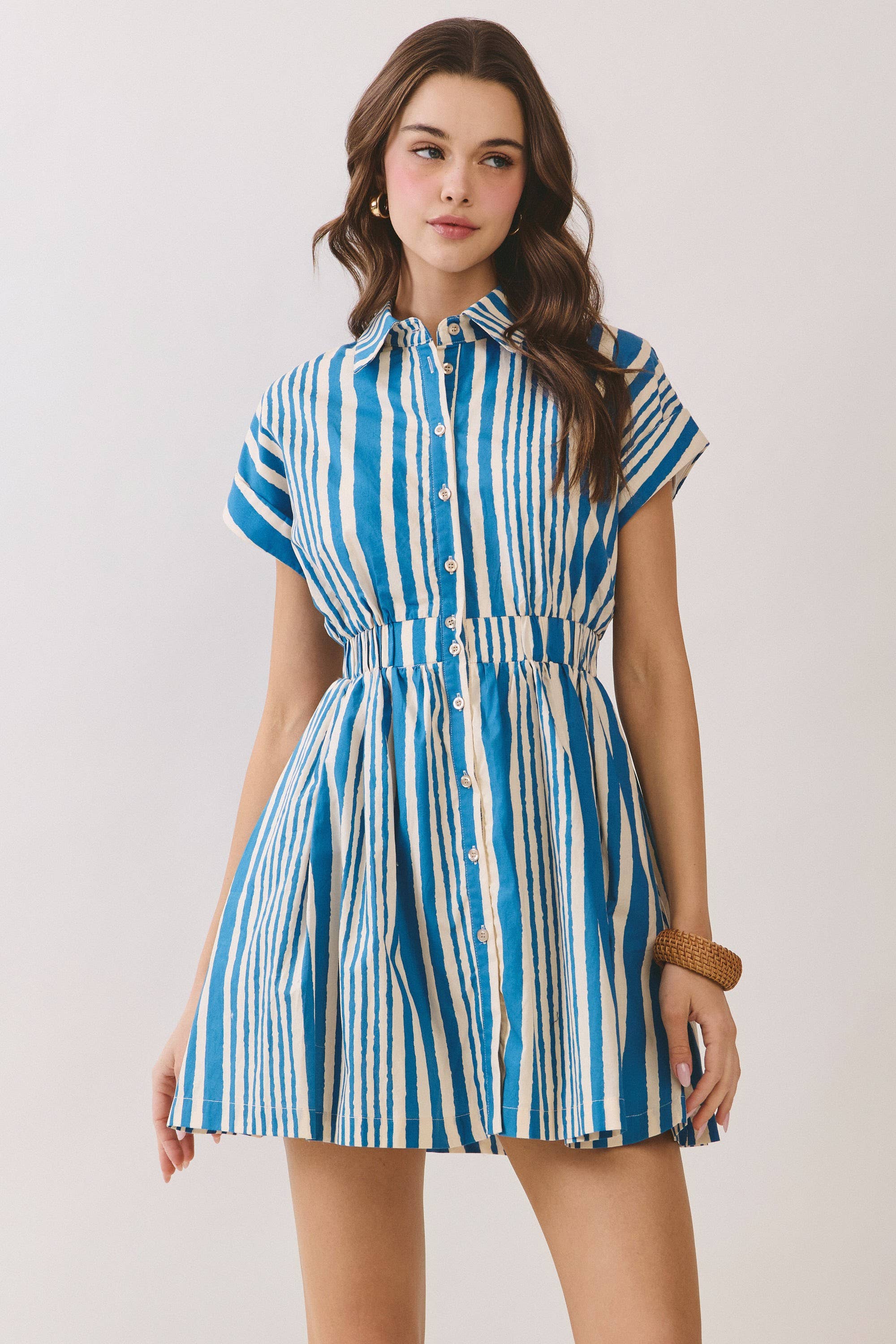 Hyde Park Mini Dress